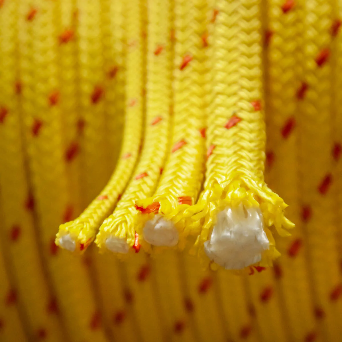 5/8" Double Braid MFP Floatline - Yellow - Image 3