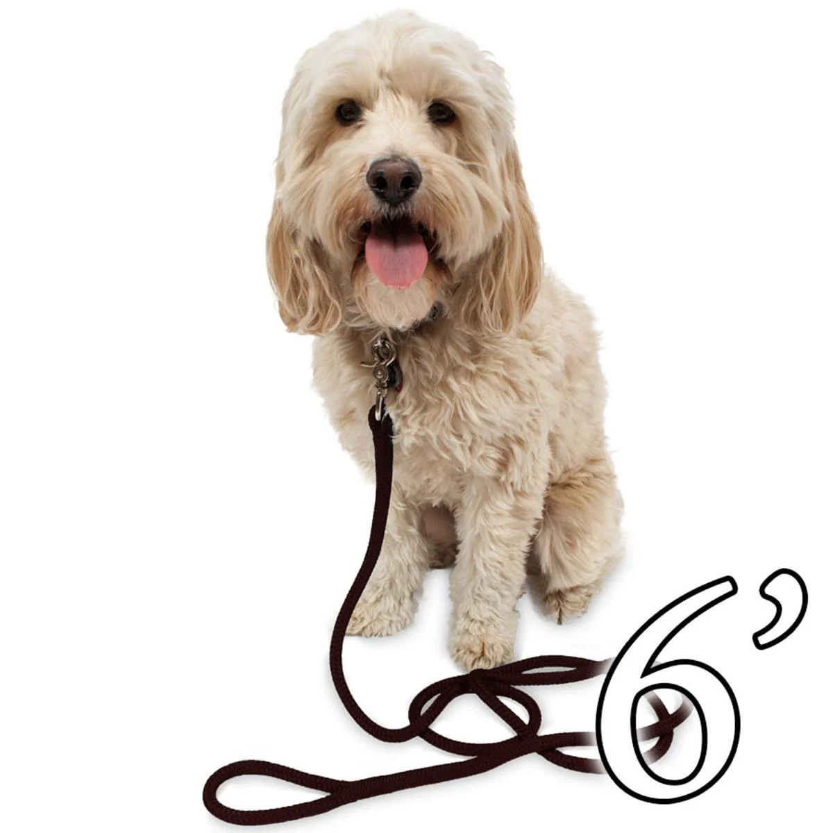 Dog Leash - 1/2" Braided Nylon - Image 11